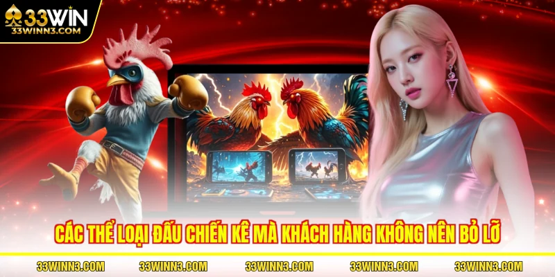 Các thể loại đấu chiến kê mà khách hàng không nên bỏ lỡ