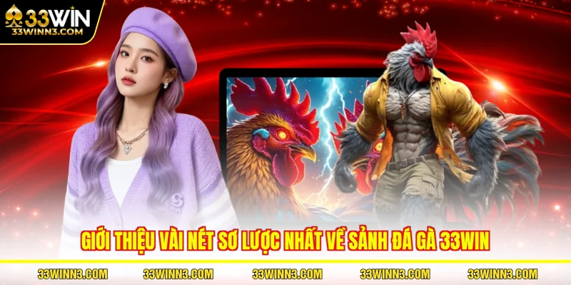 Giới thiệu vài nét sơ lược nhất về sảnh đá gà 33WIN