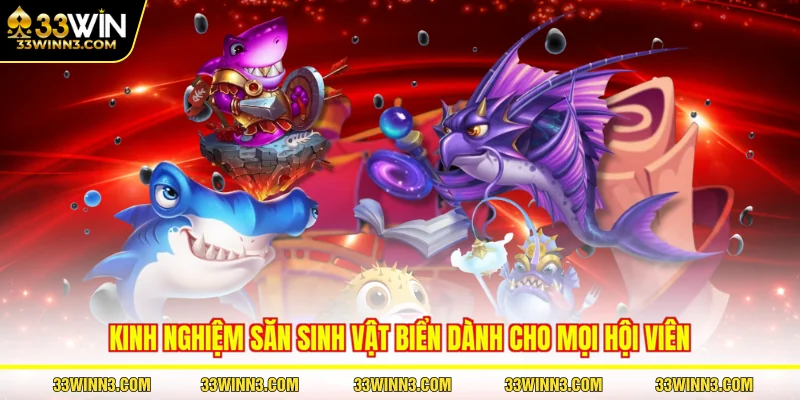 Kinh nghiệm săn sinh vật biển dành cho mọi hội viên