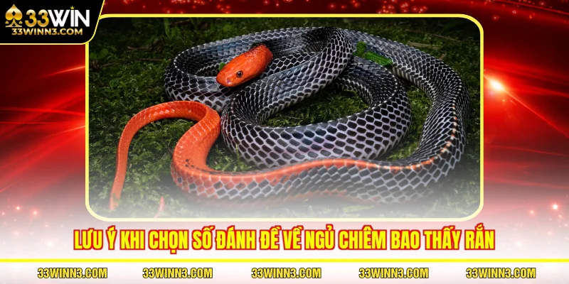 Lưu ý khi chọn số đánh đề về ngủ chiêm bao thấy rắn
