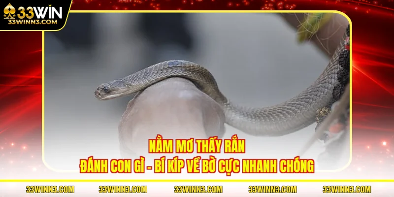 Nằm Mơ Thấy Rắn Đánh Con Gì - Bí Kíp Về Bờ Cực Nhanh Chóng