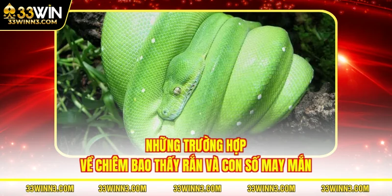 Những trường hợp về chiêm bao thấy rắn và con số may mắn